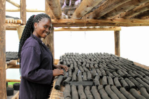 Barbara makes eco briquettes Sawa World