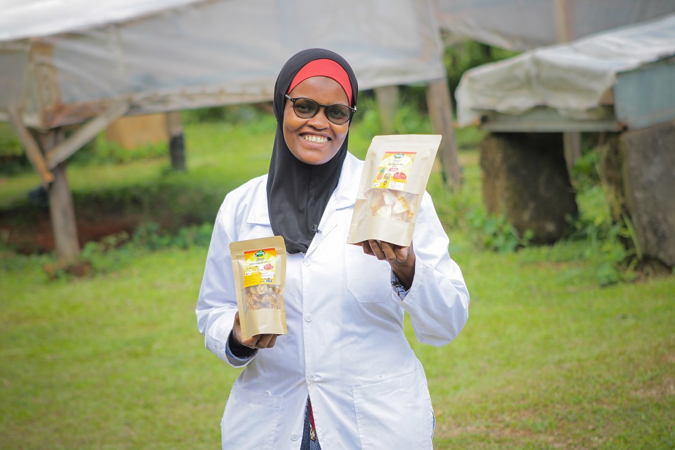 Drying Fruits Using Solar Dryers Sawa World