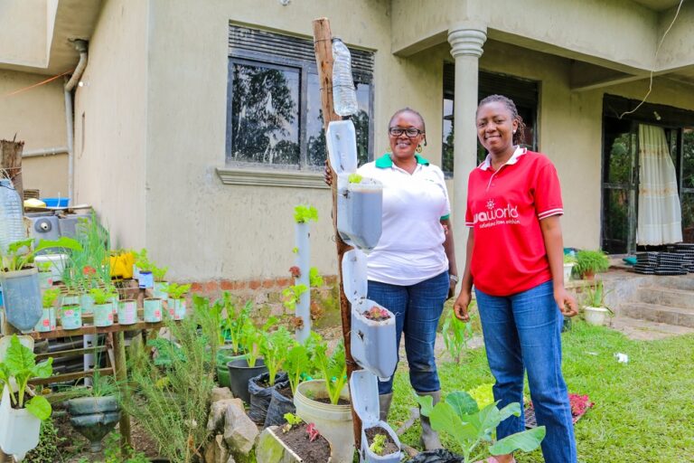 How to Start Urban Farming Sawa World