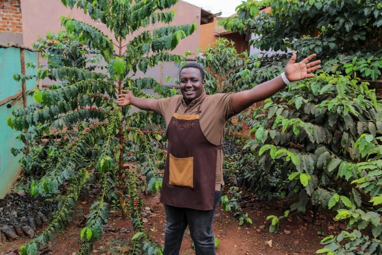 Impact of Knowledge Sharing Pius' Story of Transformation Sawa World Ujana Coffee Project Uganda Fondazione Lavazza