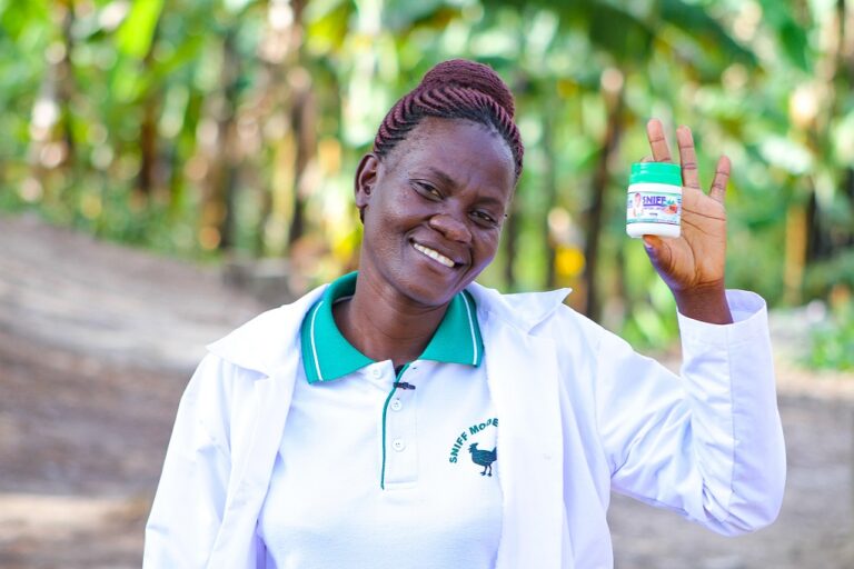 Organic Skin Ointment Sawa World Local Income Skill