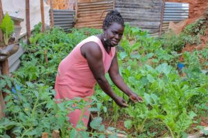 Transforming Livelihoods Through Urban Farming Florence’s Home Garden Success Sawa World