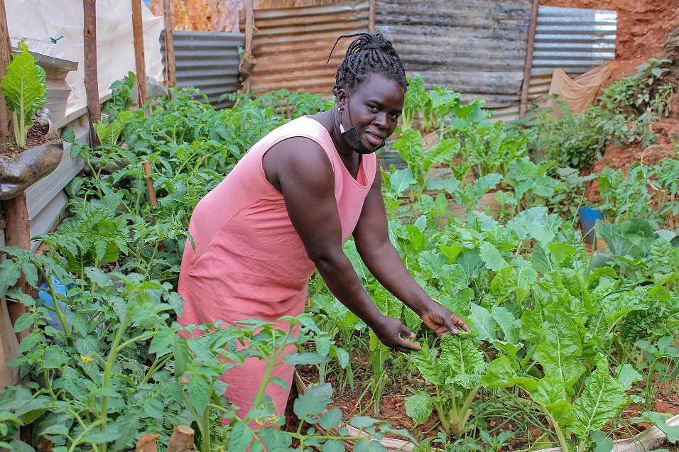 Transforming Livelihoods Through Urban Farming Florence’s Home Garden Success Sawa World