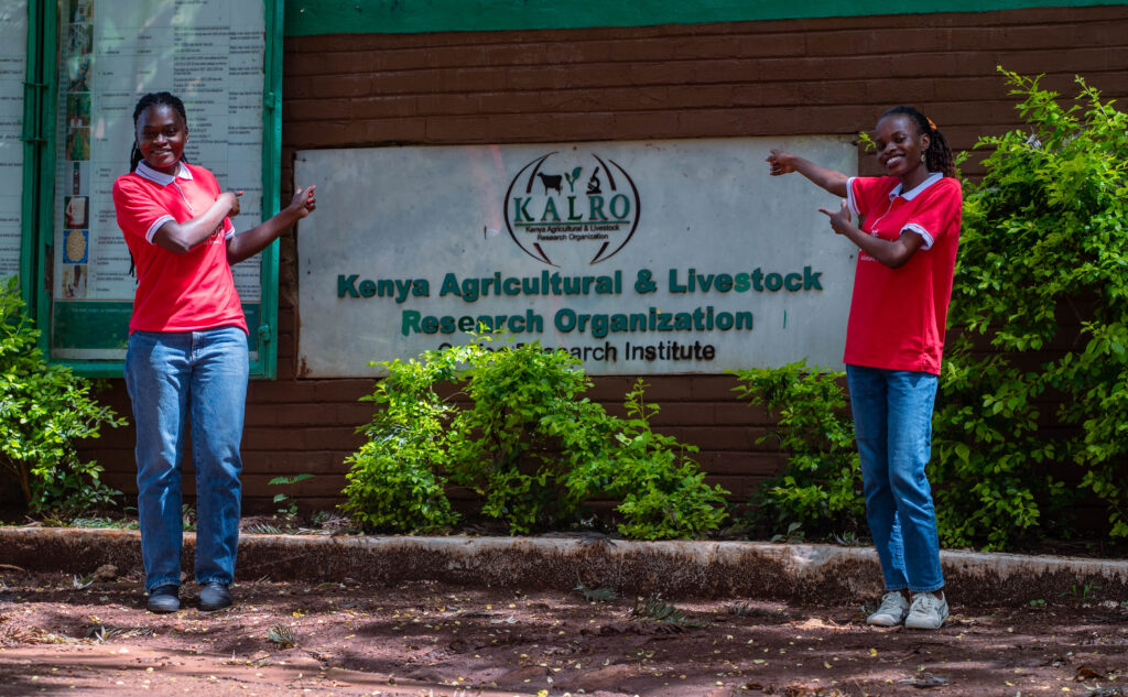 From Uganda to Kenya: Turning Coffee Waste into Opportunity sawa world center for circular economy in coffee (14)