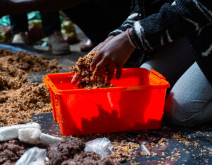 sawa world center for circular economy in coffee (18)