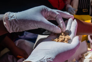 sawa world center for circular economy in coffee (6)